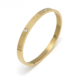 Bud to Rose- Stålarmband Carmen stål/guld