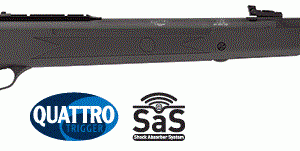 Hatsan 125 5.5mm .22