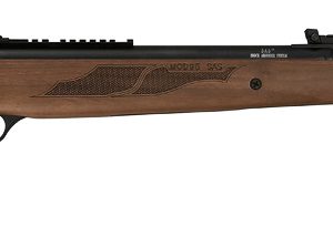 Hatsan 95 SAS 5.5mm .22
