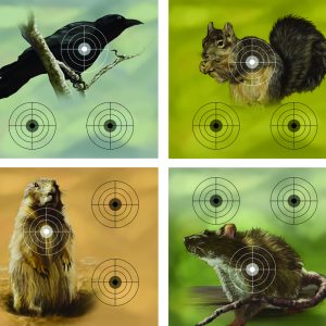 Crosman Varmint Targets Måltavlor för Luftvapen