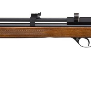 Artemis CR600W CO2 5.5mm .22