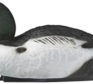 VETTE KNIPA HANE Sjöfågel Bulvan