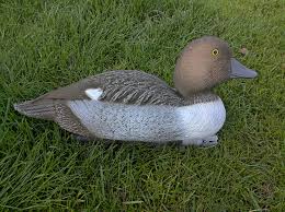 VETTE KNIPA HONA Sjöfågel Bulvan