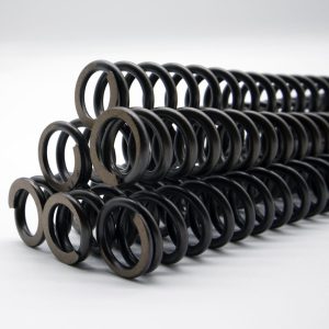 Licensfjäder Diana 350 Magnum