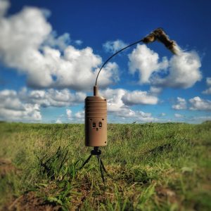 Lucky Duck, King Critter, Bulvan för rävjakt