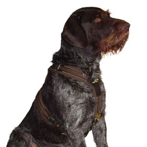 NIGGELOH SPÅRSELE FOLLOW BRUN M