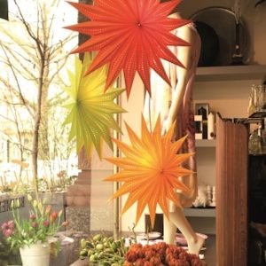 Julstjärna – June